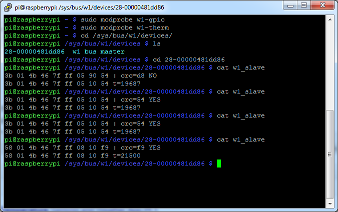 Raspberry Pi Temperature Sensor Output